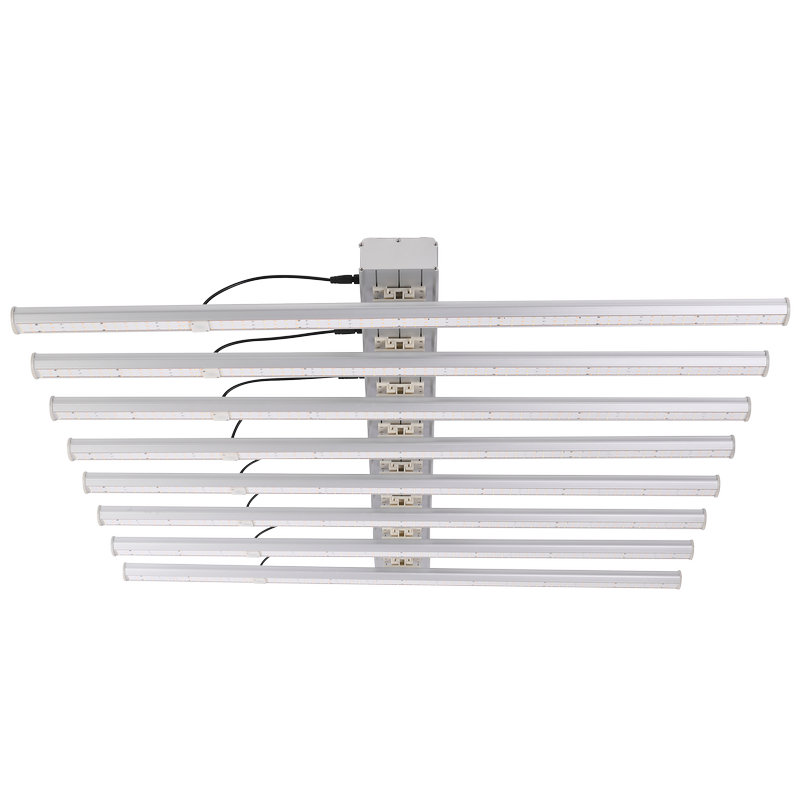 Ce este mai important, tehnica de plantare sau lumina cu LED-uri?